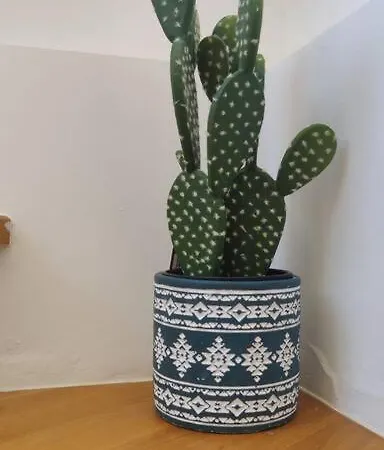 Ola Cotillo! Y Sentir El Mar Desde Casa Cotillo