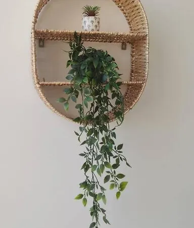 Ola Cotillo! Y Sentir El Mar Desde Casa Cotillo