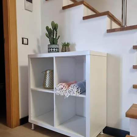 Ola Cotillo! Y Sentir El Mar Desde Casa *