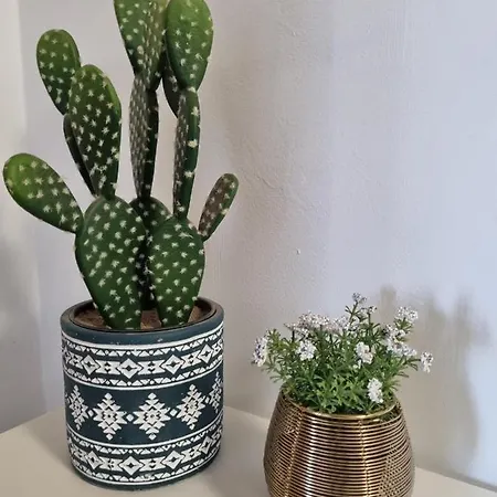 Ola Cotillo! Y Sentir El Mar Desde Casa * Cotillo