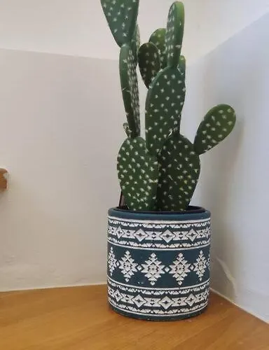 Ola Cotillo! Y Sentir El Mar Desde Casa Cotillo