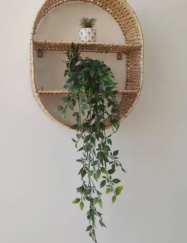 Ola Cotillo! Y Sentir El Mar Desde Casa Cotillo