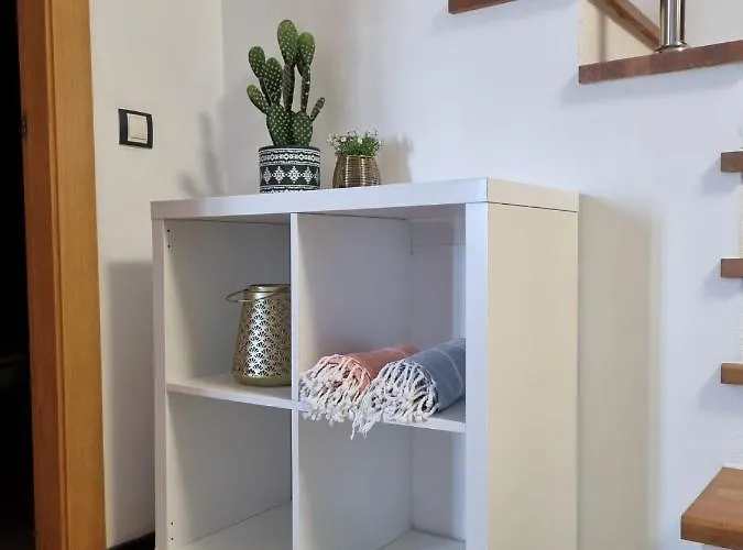 Ola Cotillo! Y Sentir El Mar Desde Casa *