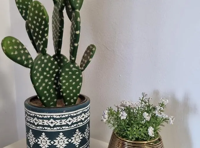 Ola Cotillo! Y Sentir El Mar Desde Casa * Cotillo